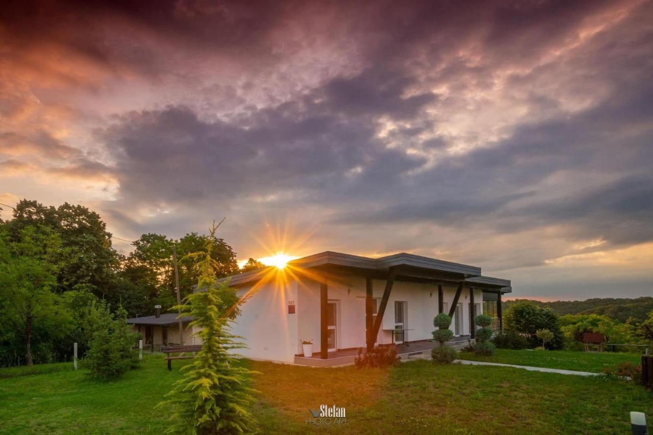 Villa Kuce Za Odmor -Japin Breg Ðurđevac Exterior foto