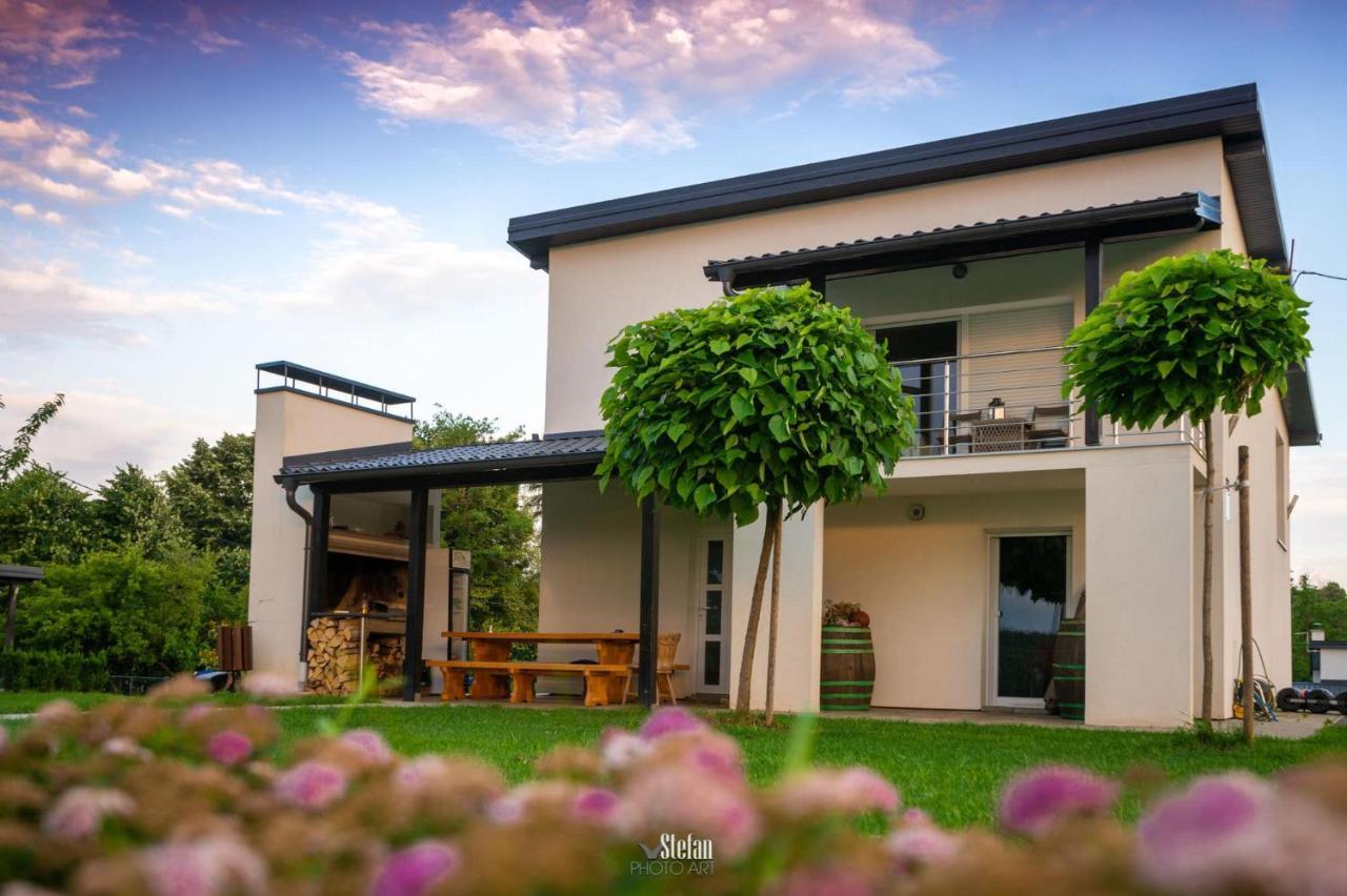 Villa Kuce Za Odmor -Japin Breg Ðurđevac Exterior foto
