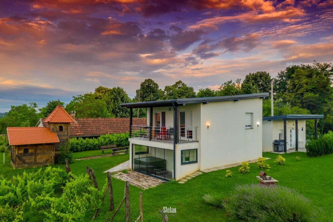 Villa Kuce Za Odmor -Japin Breg Ðurđevac Exterior foto