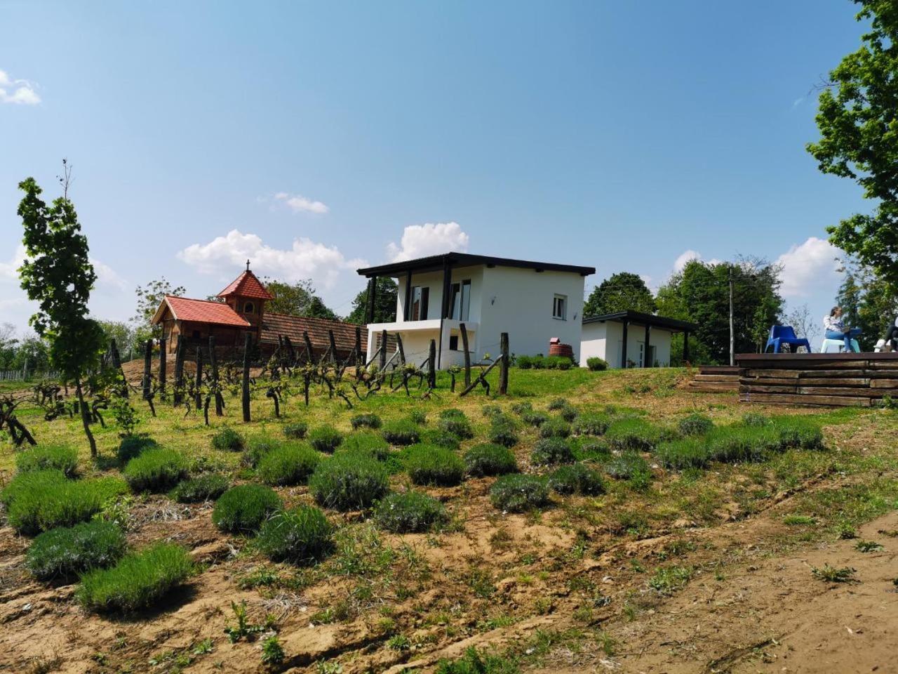 Villa Kuce Za Odmor -Japin Breg Ðurđevac Exterior foto